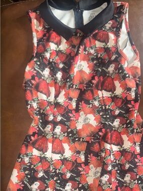 Disney Black and Red Floral Character Skater Dress